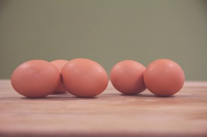 evolutionyou.net | eggs