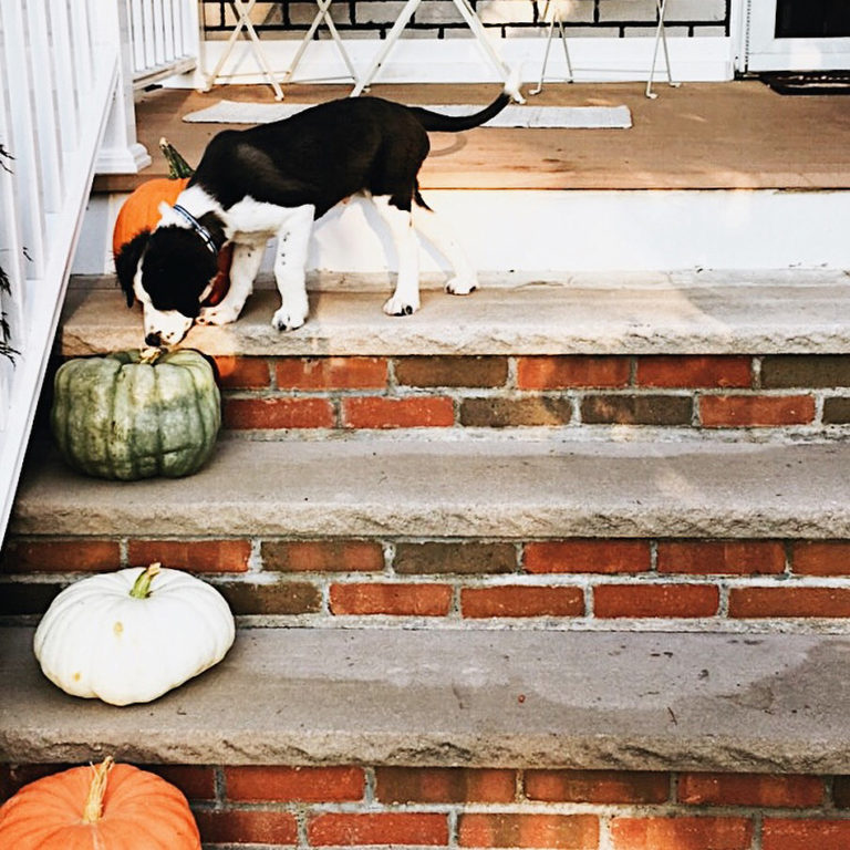 autumn // livelovesimple.com