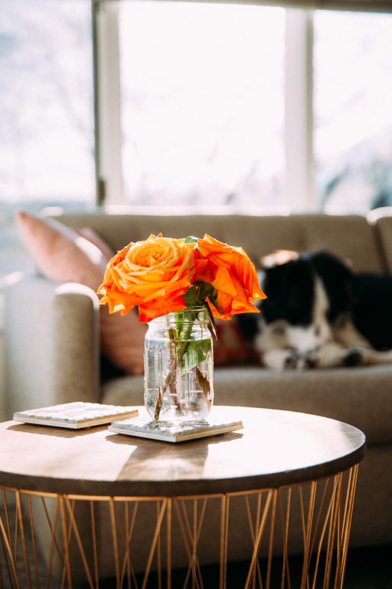 February Morning // livelovesimple.com