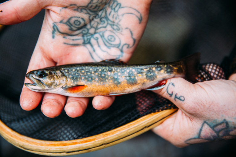 Fly FIshing // livelovesimple.com