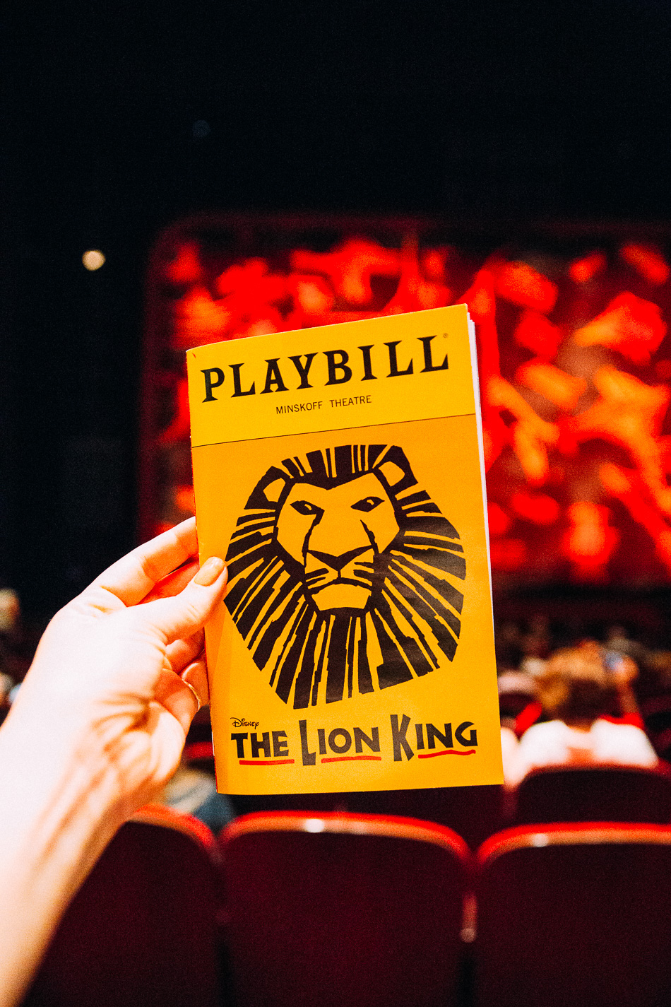 NYC & Lion King on Broadway