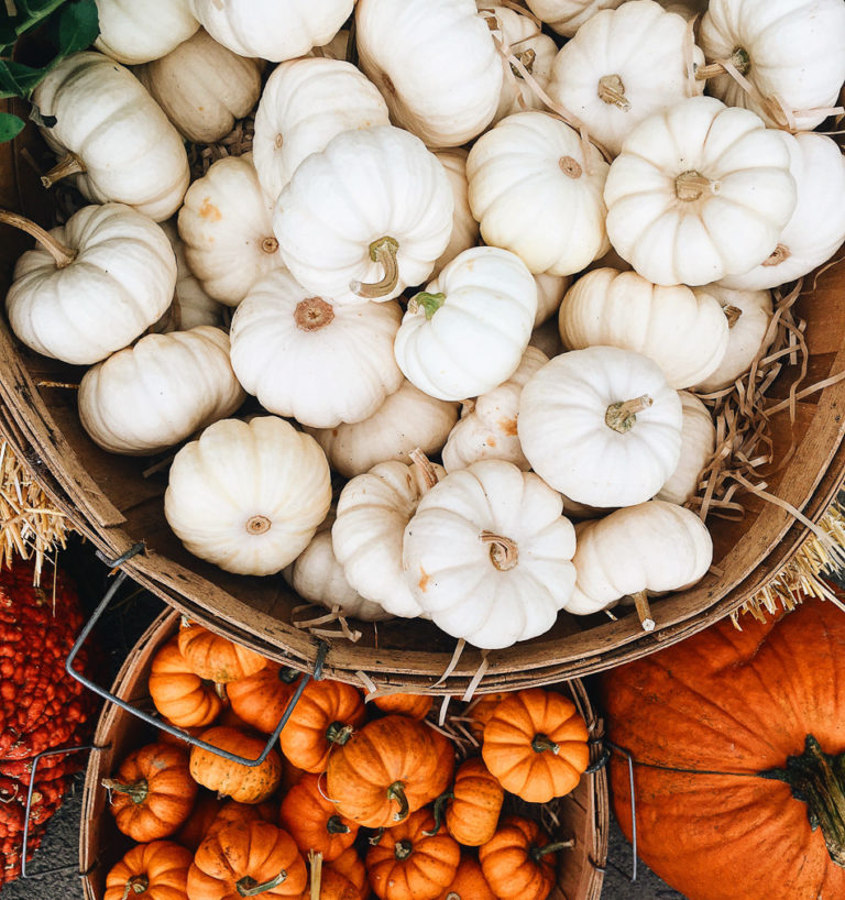 autumn // livelovesimple.com