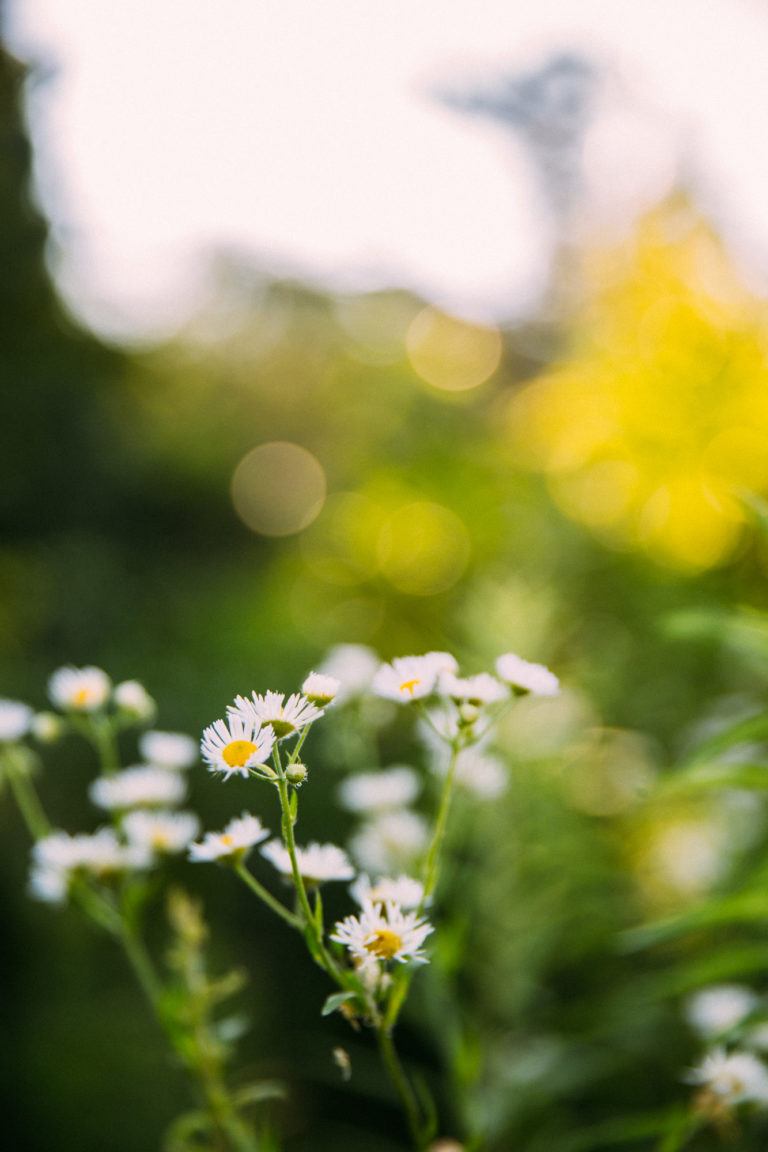 sustainability // livelovesimple.com