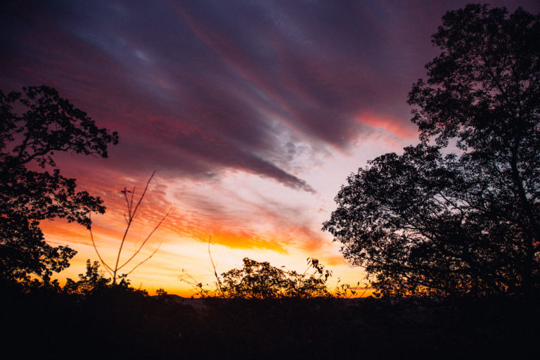 Backyard Camping Adventures
