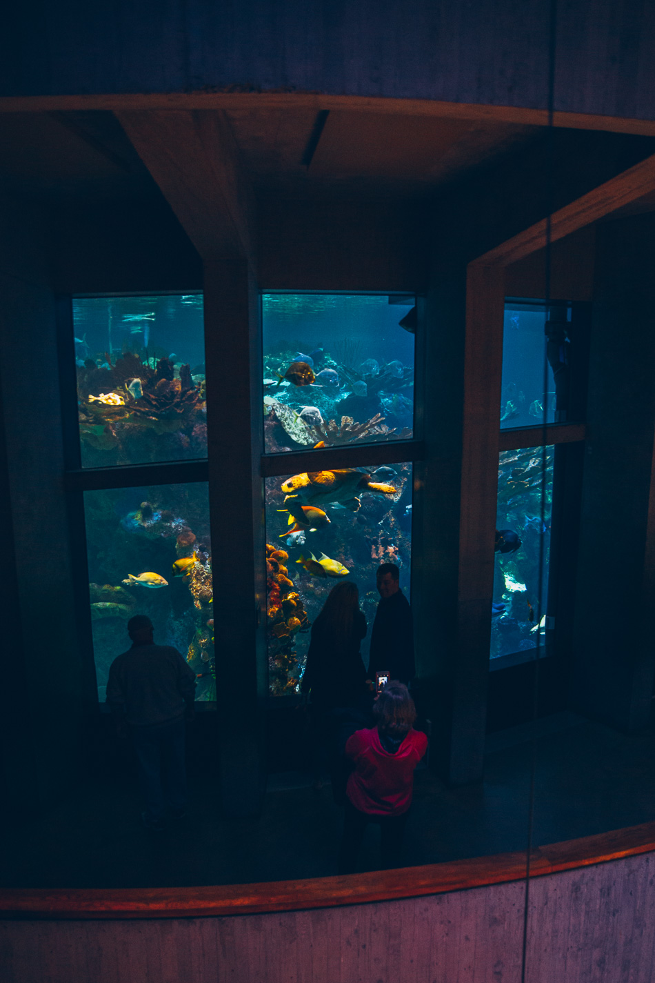 New England Aquarium // livelovesimple.com