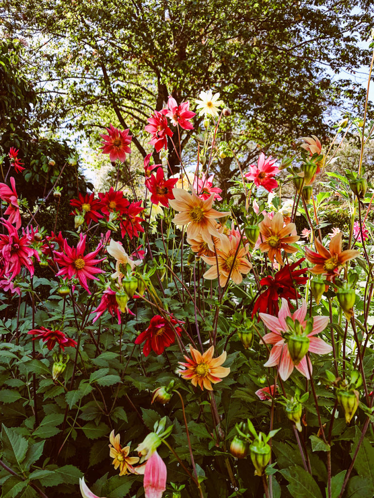 golden period // livelovesimple.com