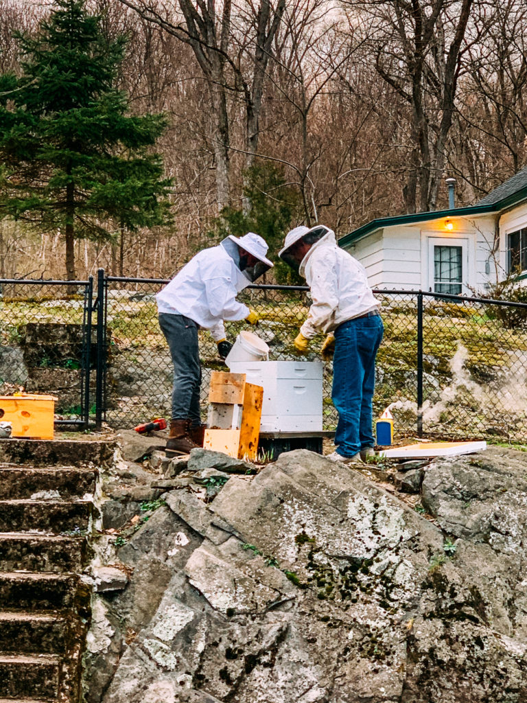 honey bee installation