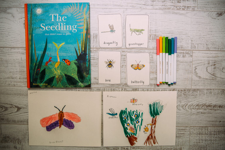 The Seedling