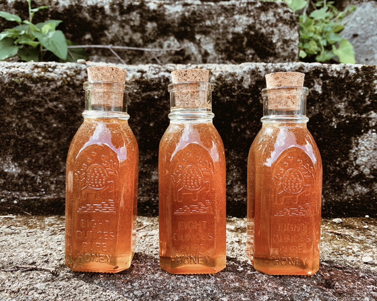 Our First Honey Harvest