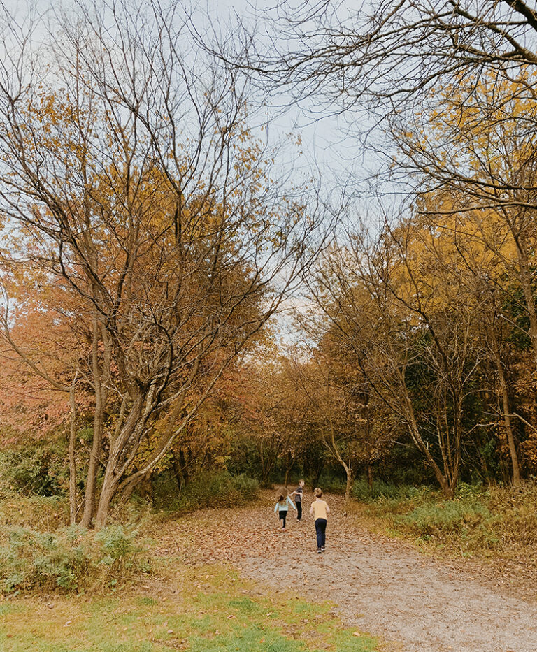 Catching Up on Autumn