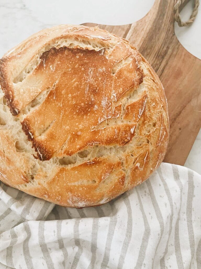 Sourdough Starter Guide